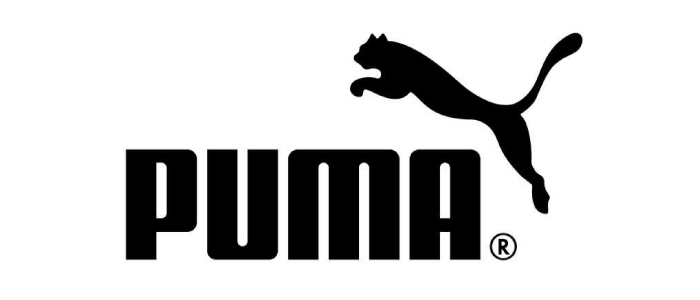 Puma_Logo7.唤起情绪.png